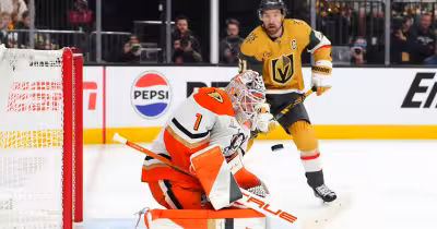 Vgk image: Lukas Dostal's May 4 Game 1 save in Las Vegas captures playoff tension