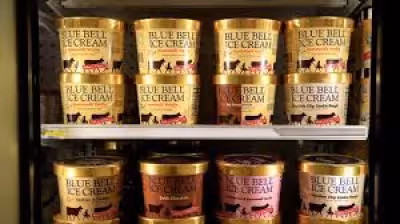Blue Bell Black Raspberry Fudge Joins Summer Lineup Alongside Brookie À La Mode