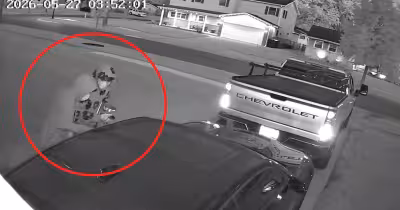 Two people break Camaro window in Elk Grove Village before homeowner scares them off